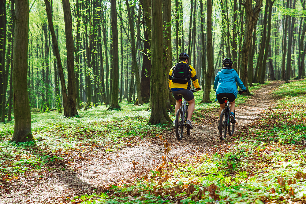couple-riding-bicycle-in-forest-in-warm-day-view-from-behind